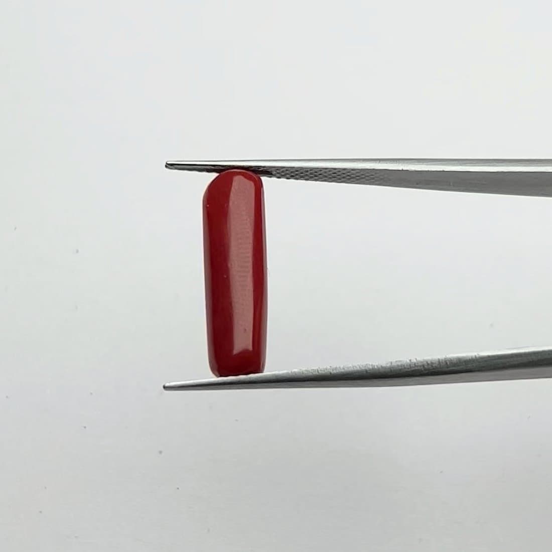 Red Coral | 5.50 Ratti