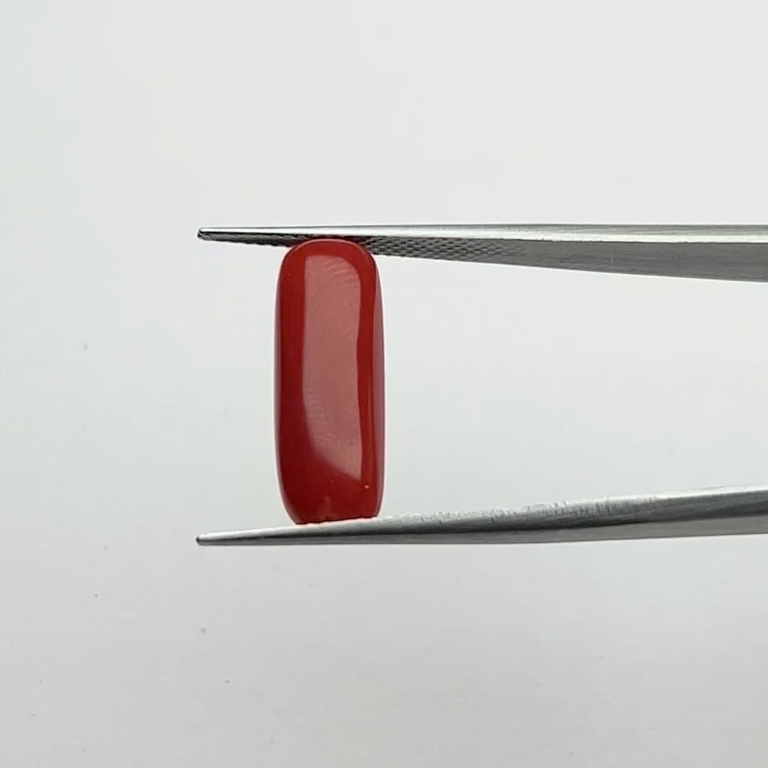 Red Coral | 5.50 Ratti