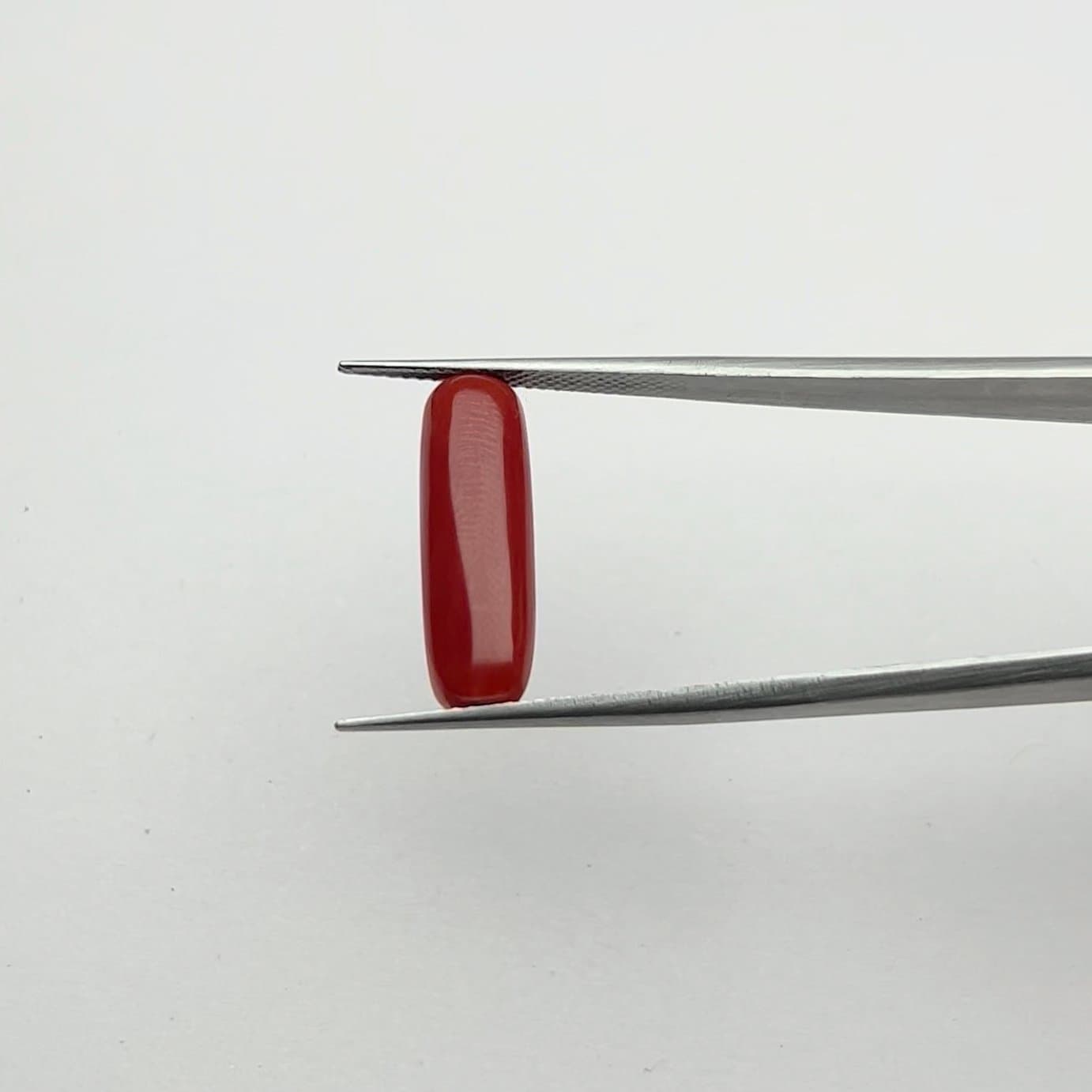 Red Coral | 6.25 Ratti