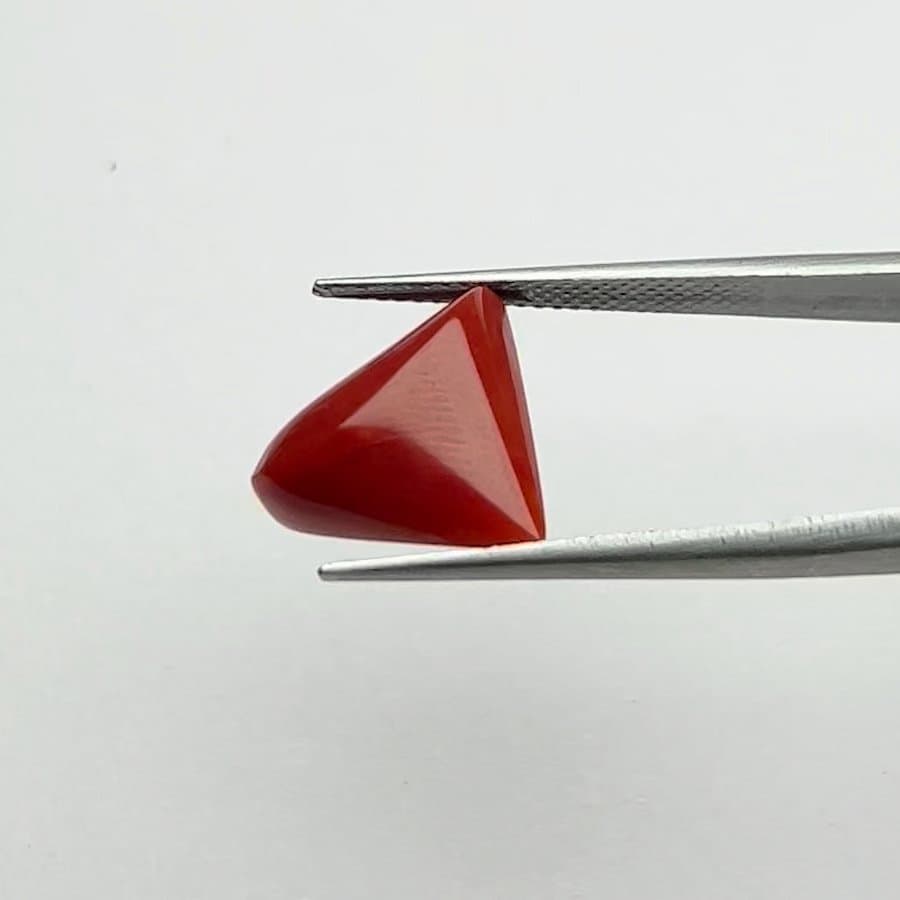 Red Coral | 6.25 Ratti