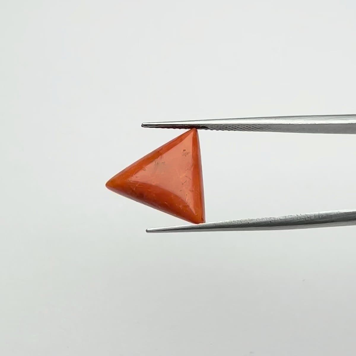 Red Coral | 8.00 Ratti