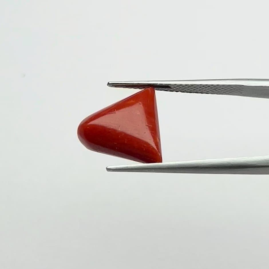 Red Coral | 6.50 Ratti
