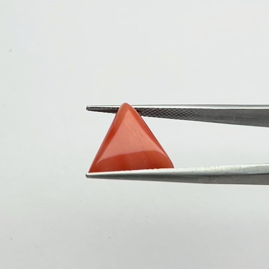 Red Coral | 8.50 Ratti