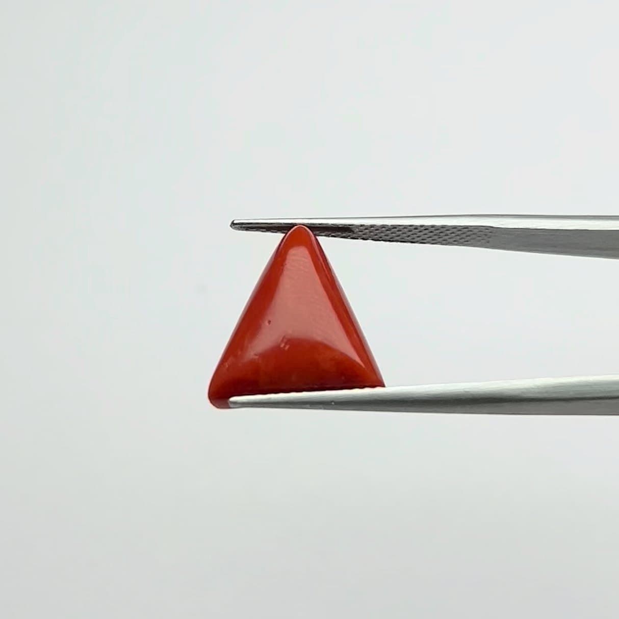 Red Coral | 8.00 Ratti