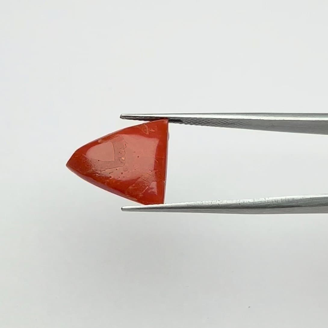 Red Coral | 7.50 Ratti