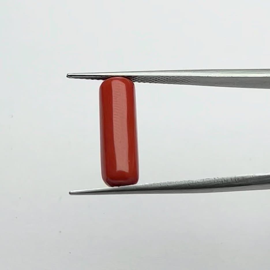 Red Coral | 5.50 Ratti