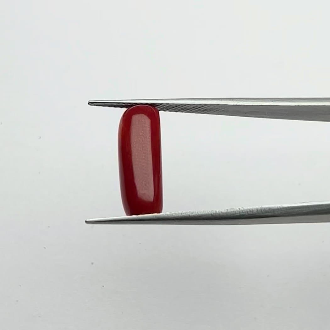 Red Coral | 5.50 Ratti