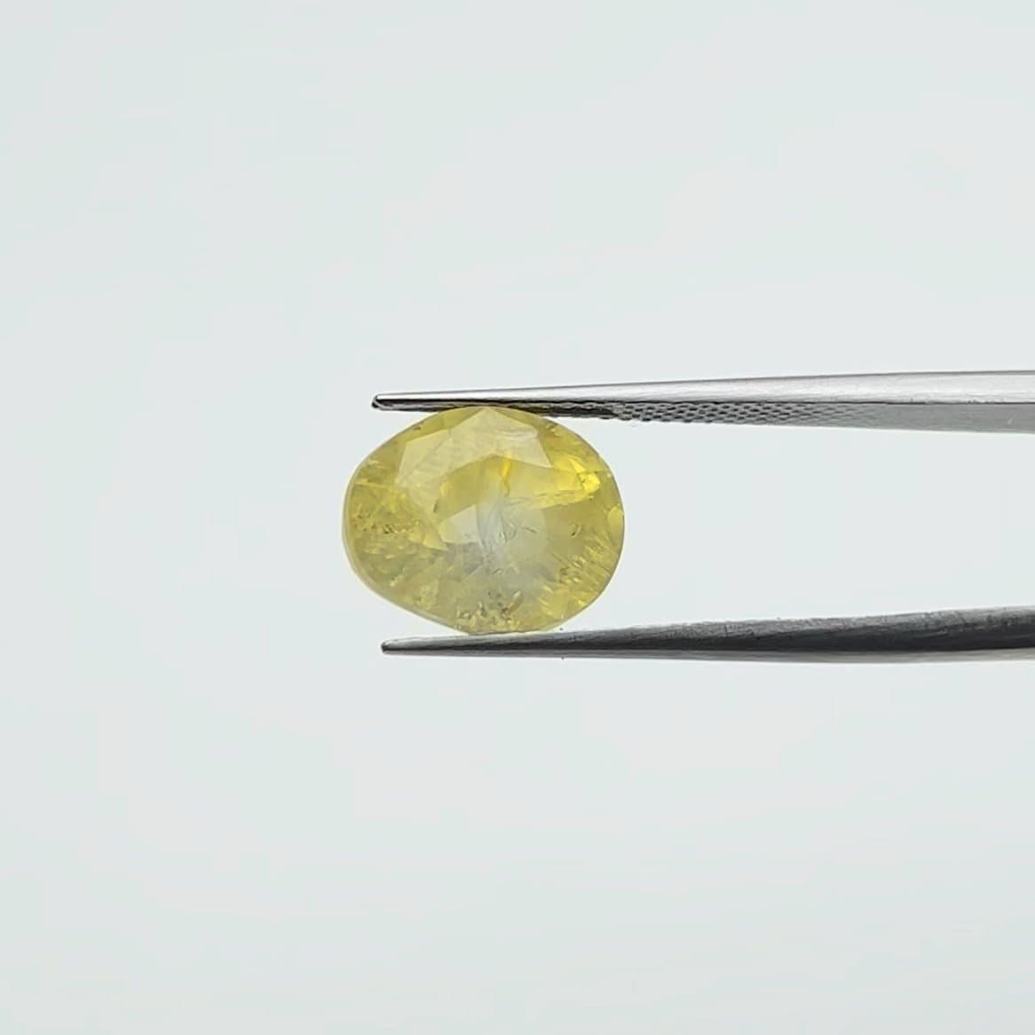 Yellow Sapphire | 8.00 Ratti
