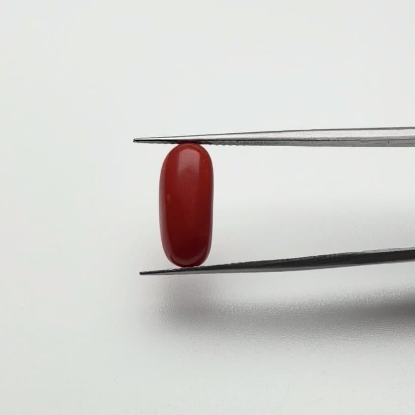 Red Coral | 5.50 Ratti
