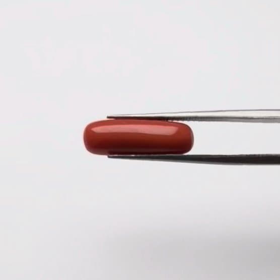 Red Coral | 4.50 Ratti