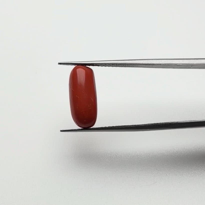 Red Coral | 5.50 Ratti