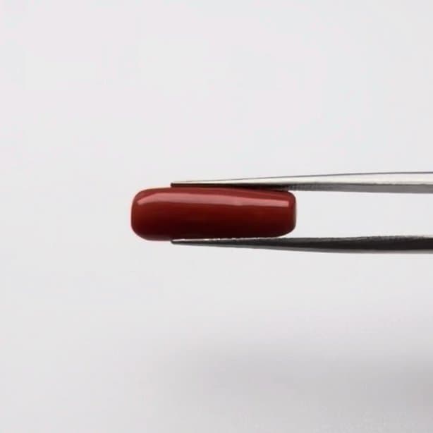 Red Coral | 5.00 Ratti