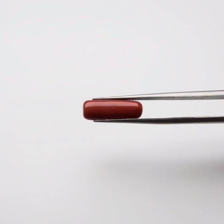 Red Coral | 5.00 Ratti