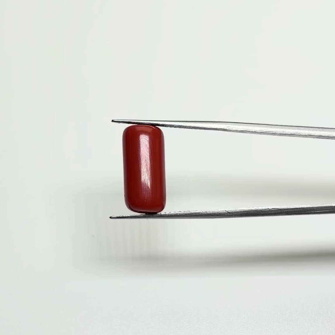 Red Coral | 8.00 Ratti