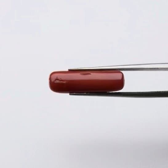 Red Coral | 6.00 Ratti
