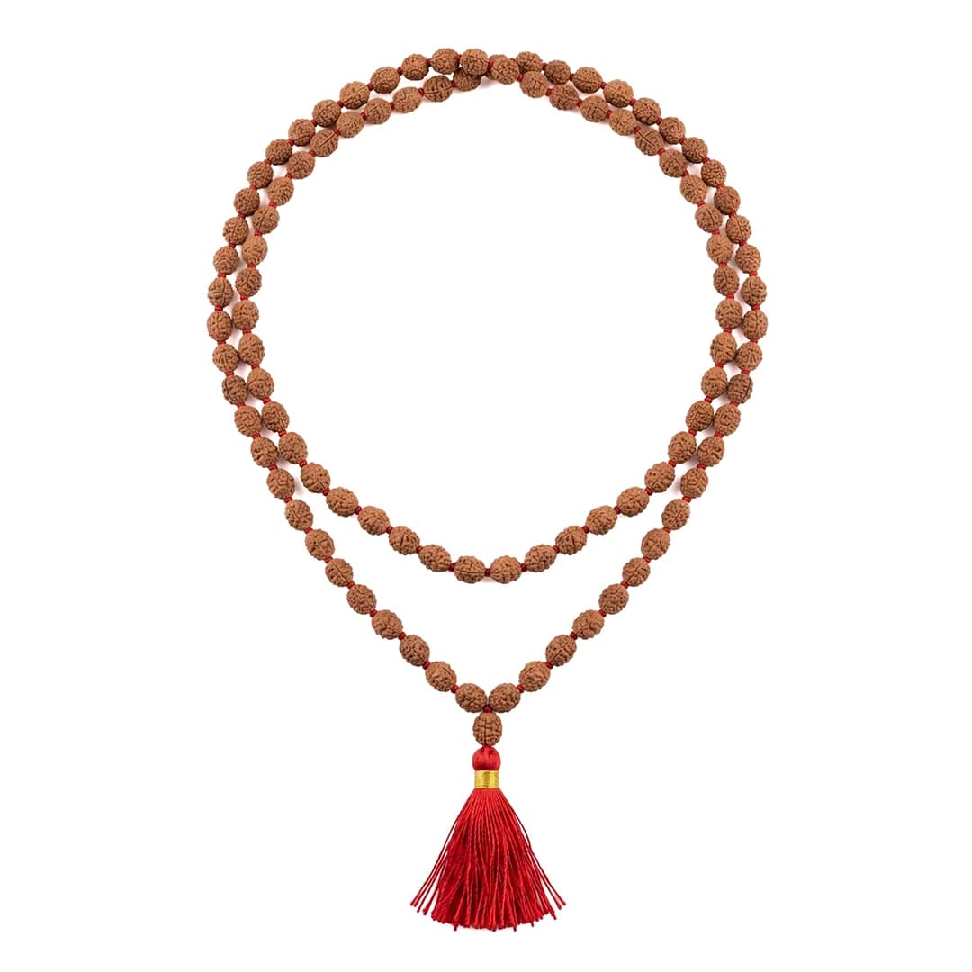 2 Mukhi Rudraksha Mala