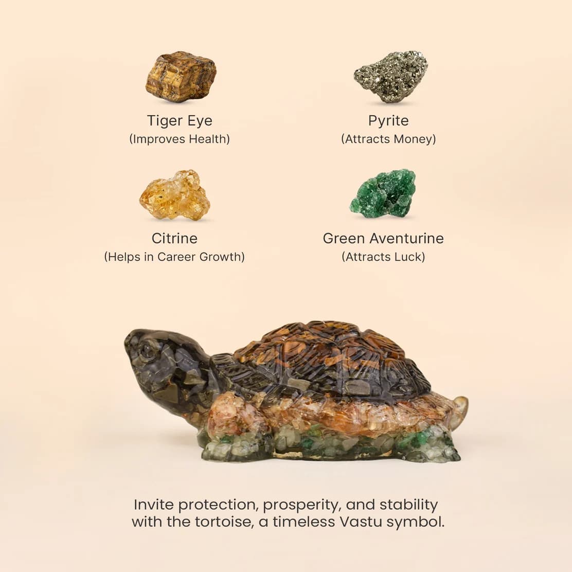 Dhan Yog Tortoise