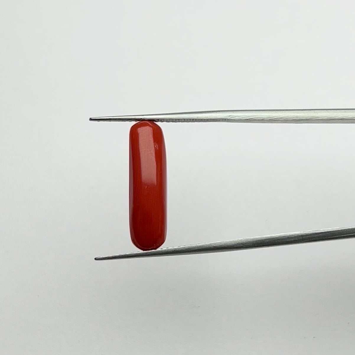 Red Coral | 5.00 Ratti