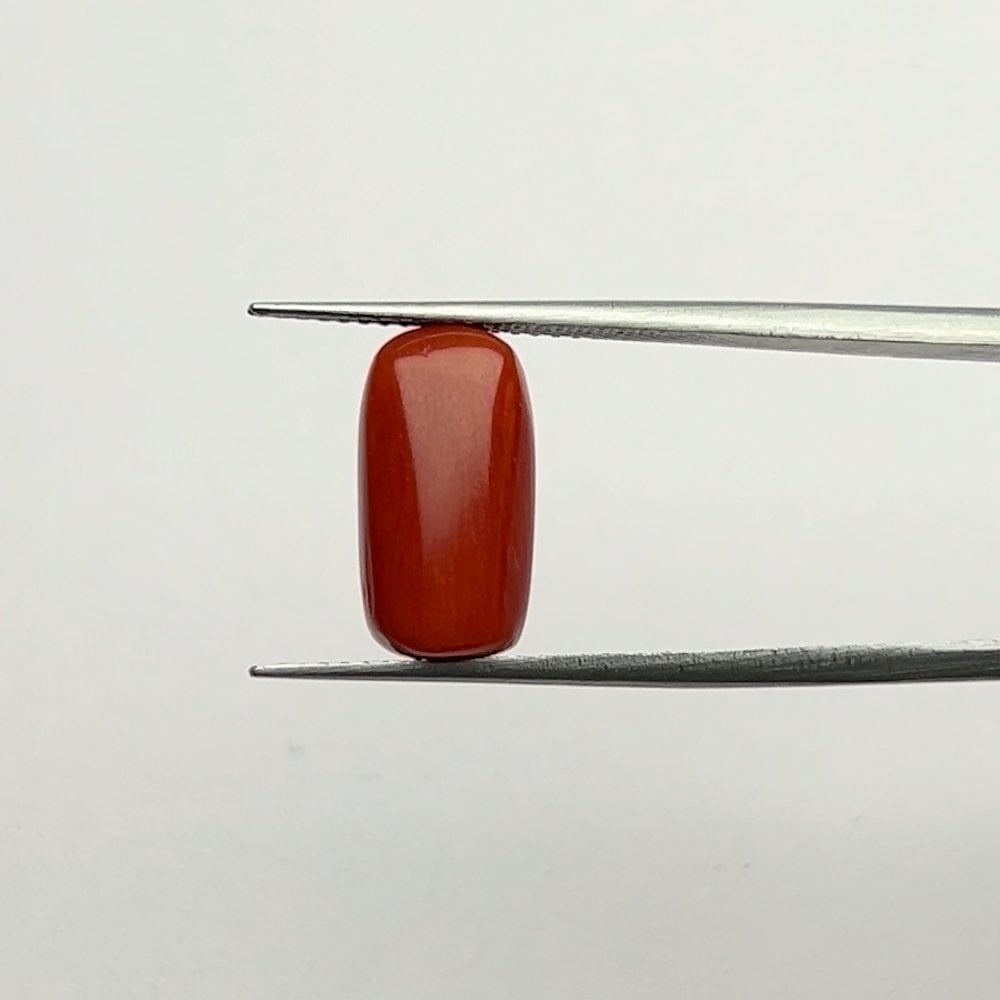 Red Coral | 6.25 Ratti