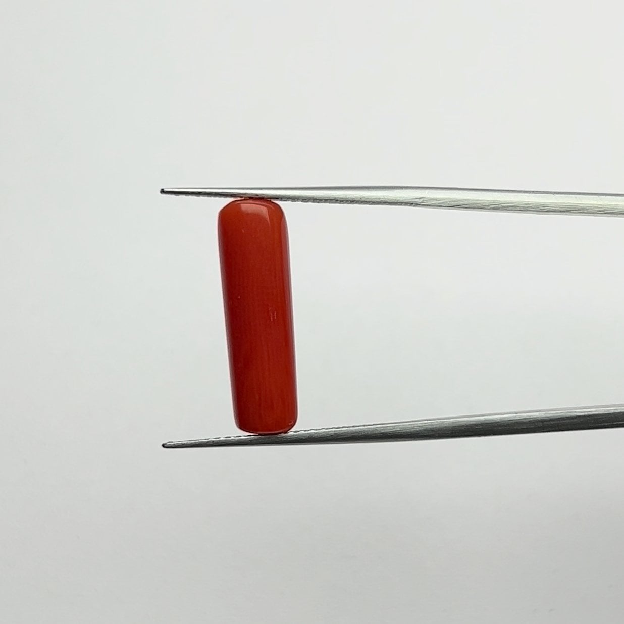 Red Coral | 5.50 Ratti