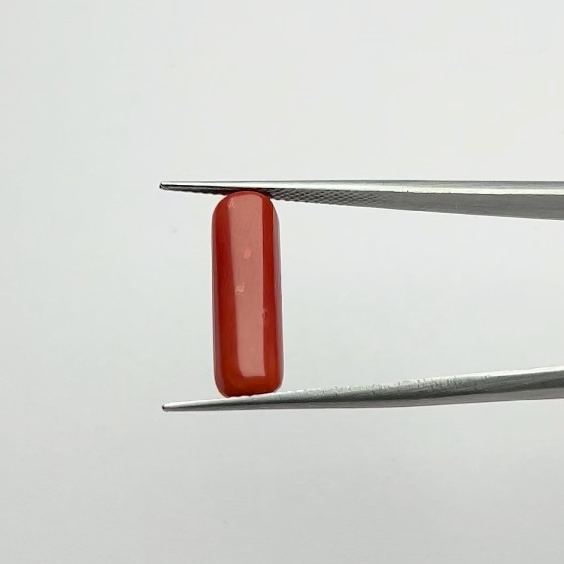 Red Coral | 5.50 Ratti