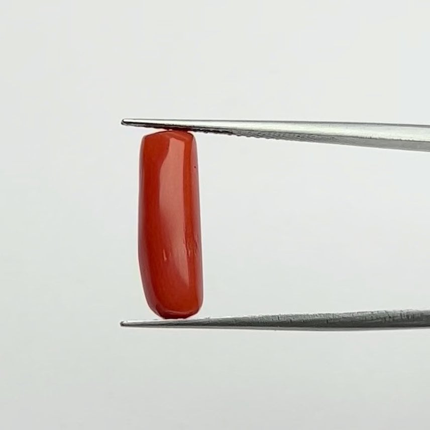 Red Coral | 5.00 Ratti