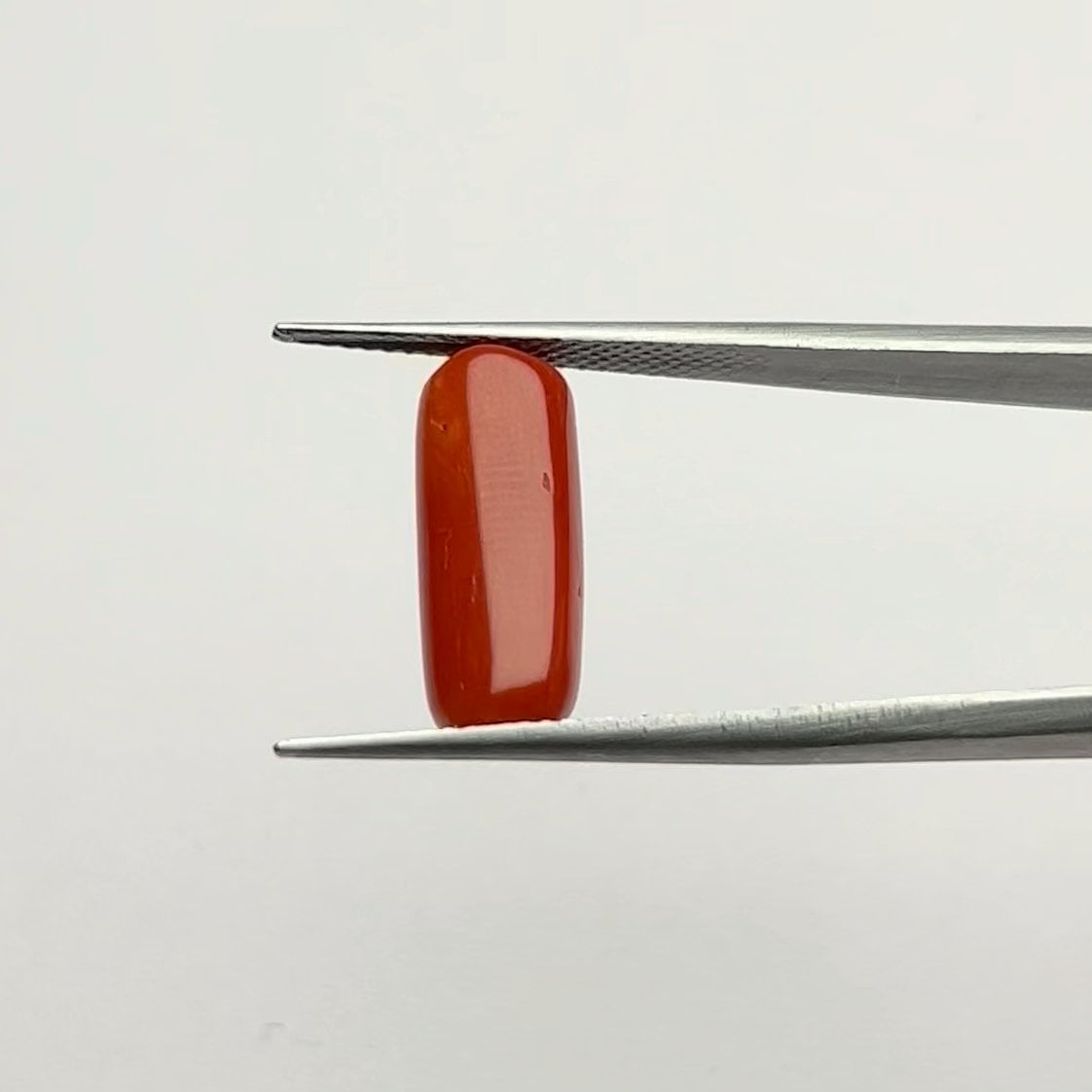 Red Coral | 6.50 Ratti