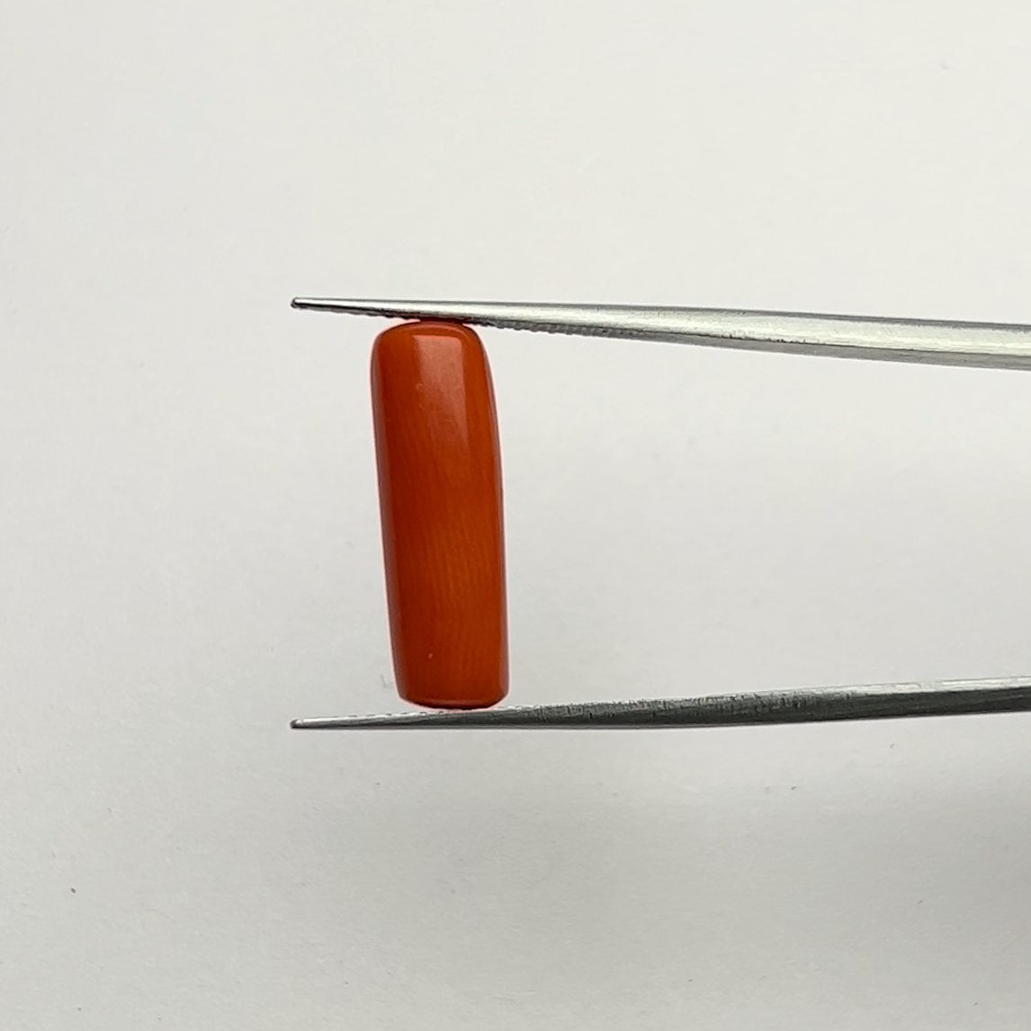 Red Coral | 7.00 Ratti