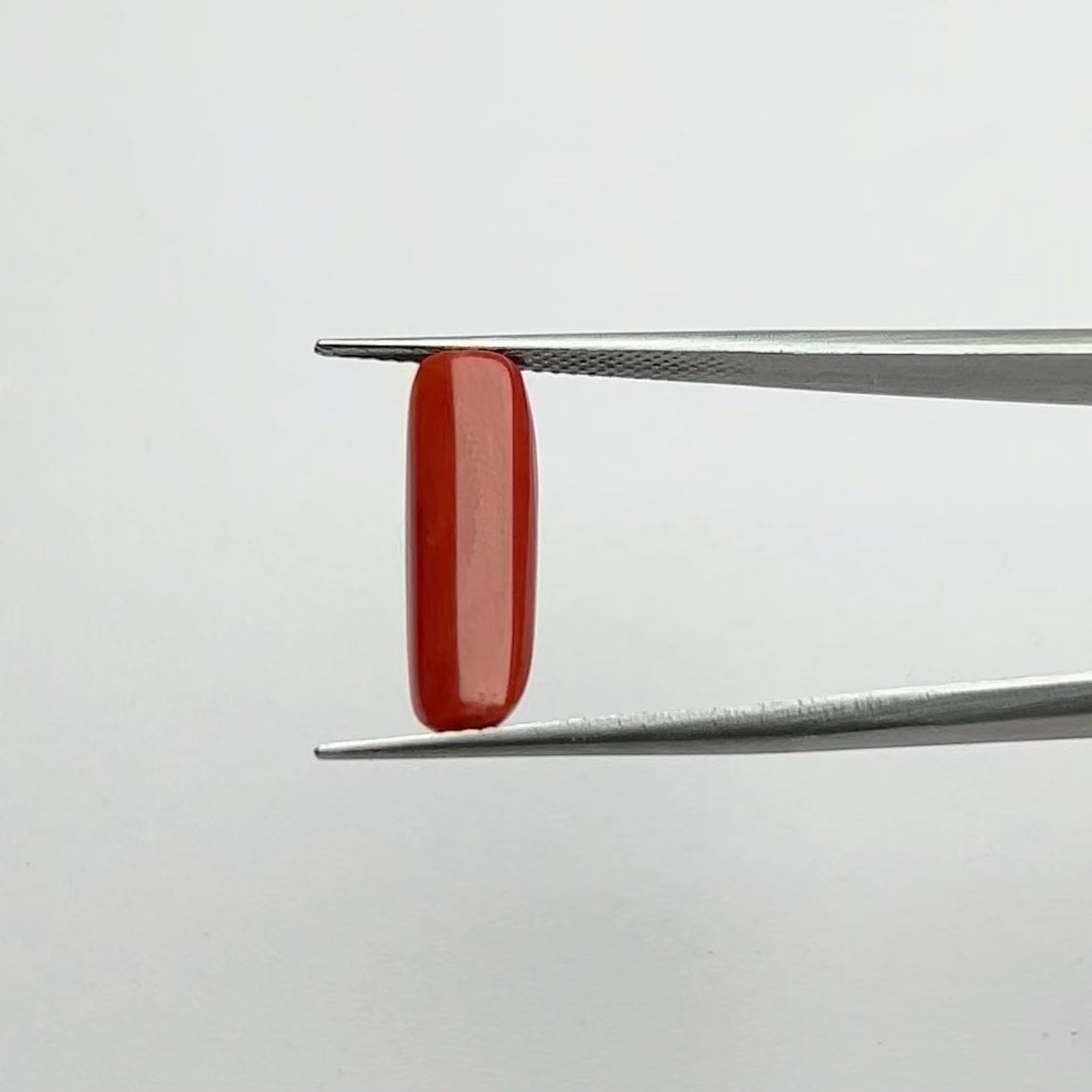 Red Coral | 5.50 Ratti