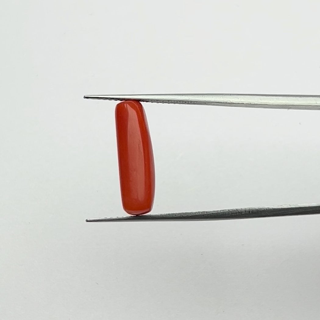 Red Coral | 5.00 Ratti