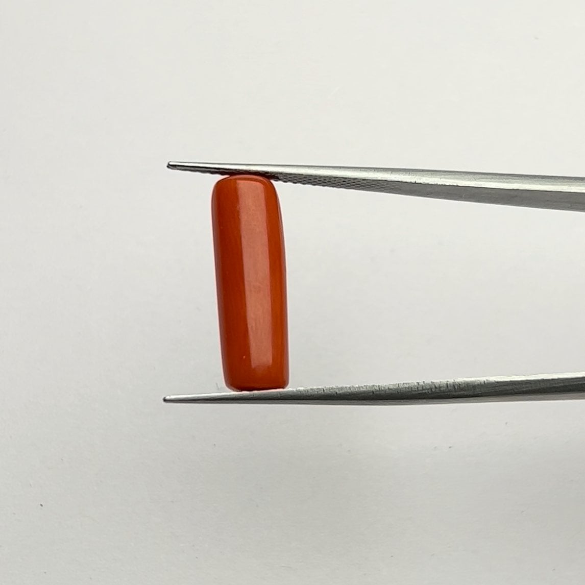 Red Coral | 6.50 Ratti