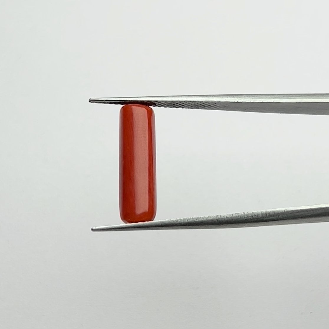 Red Coral | 5.25 Ratti