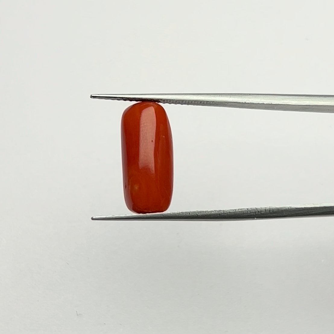 Red Coral | 6.25 Ratti