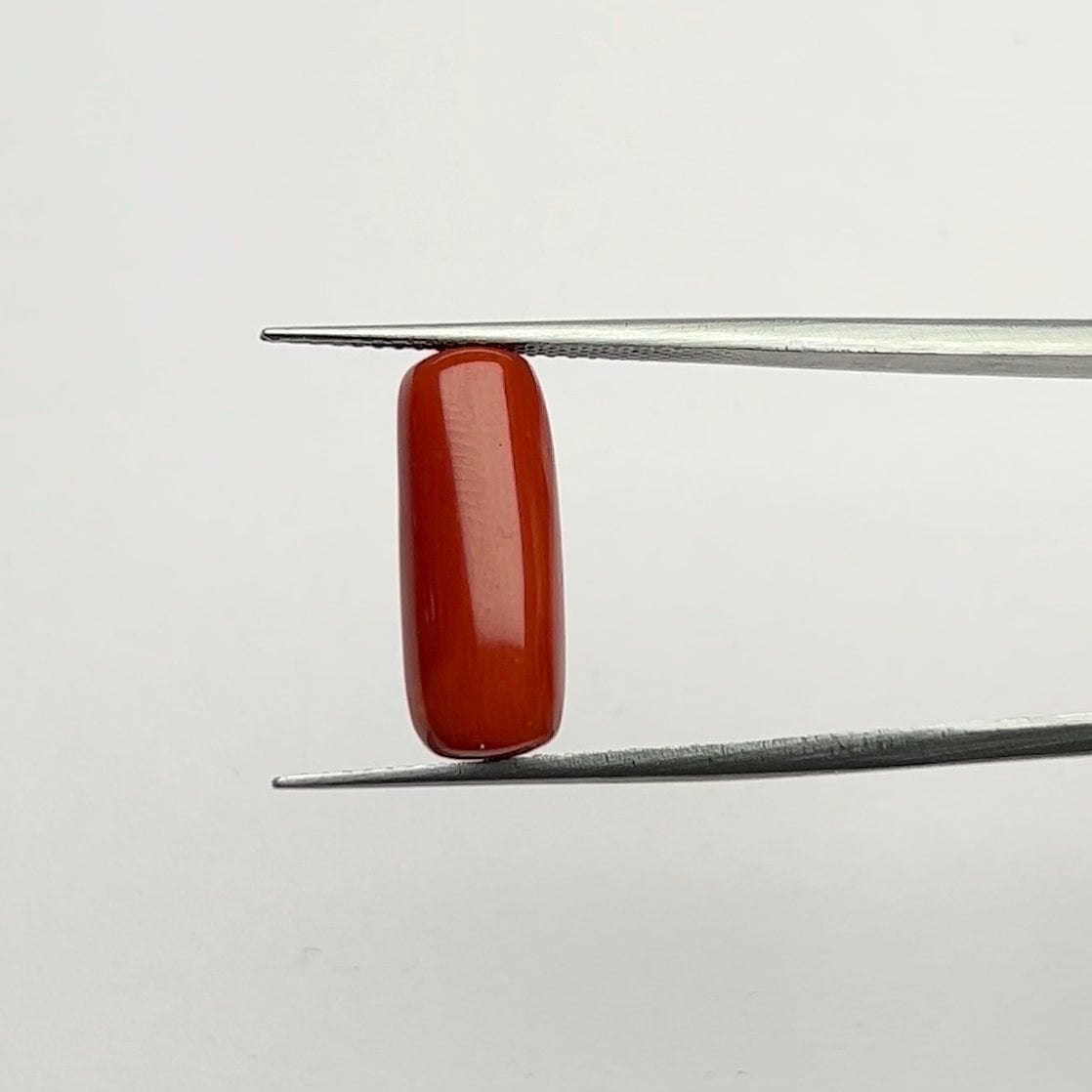 Red Coral | 6.50 Ratti