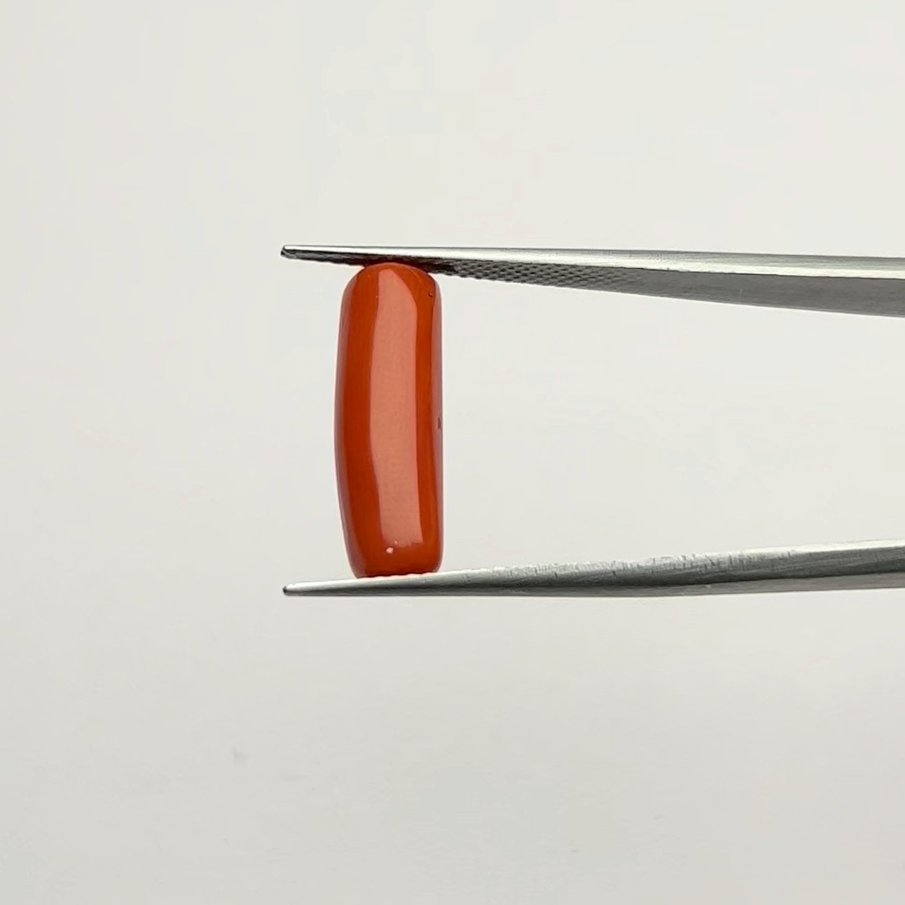 Red Coral | 6.00 Ratti