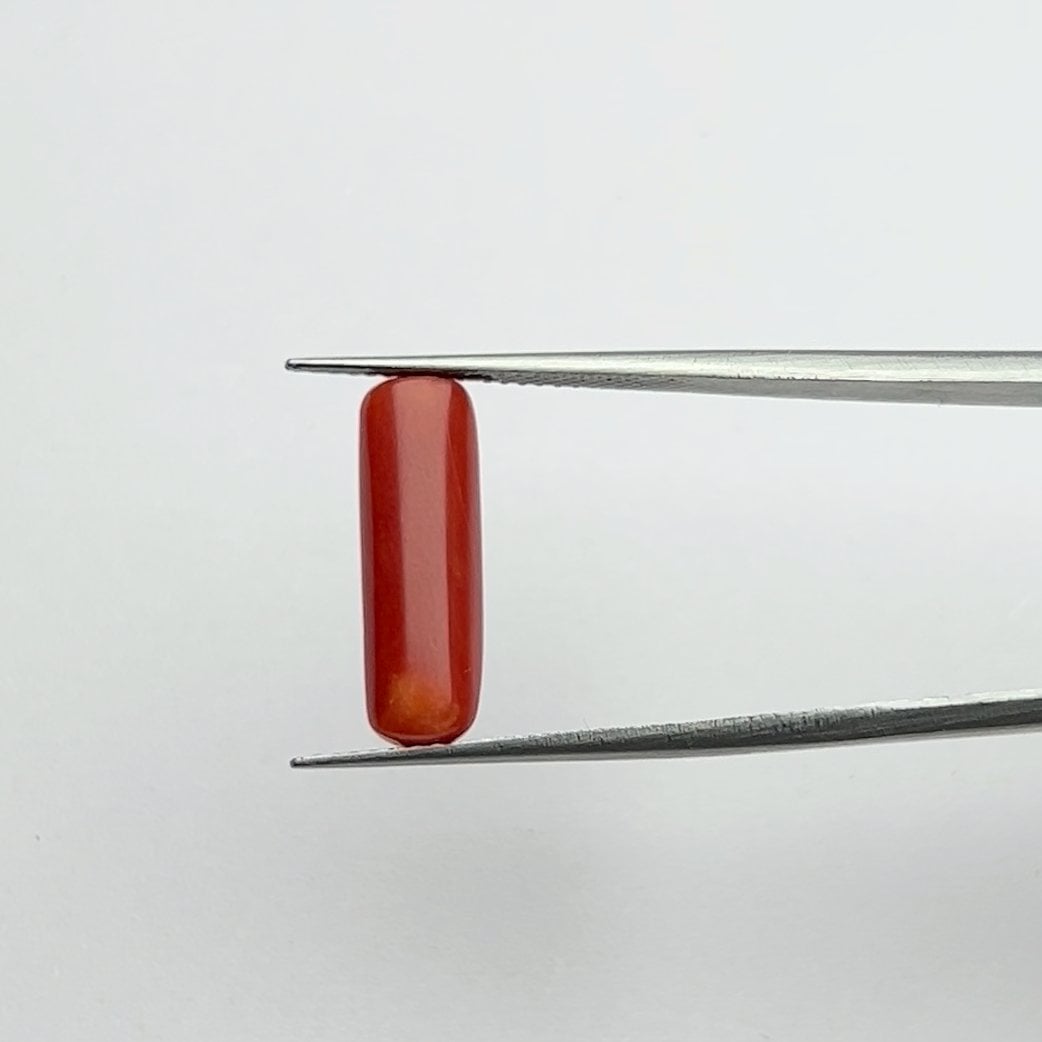 Red Coral | 5.25 Ratti