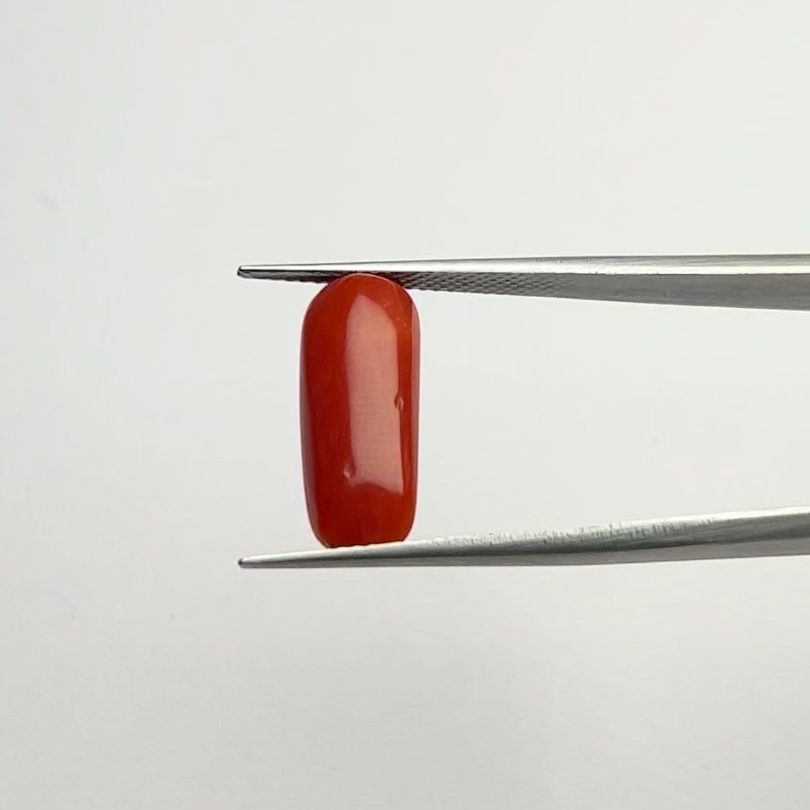 Red Coral | 6.50 Ratti