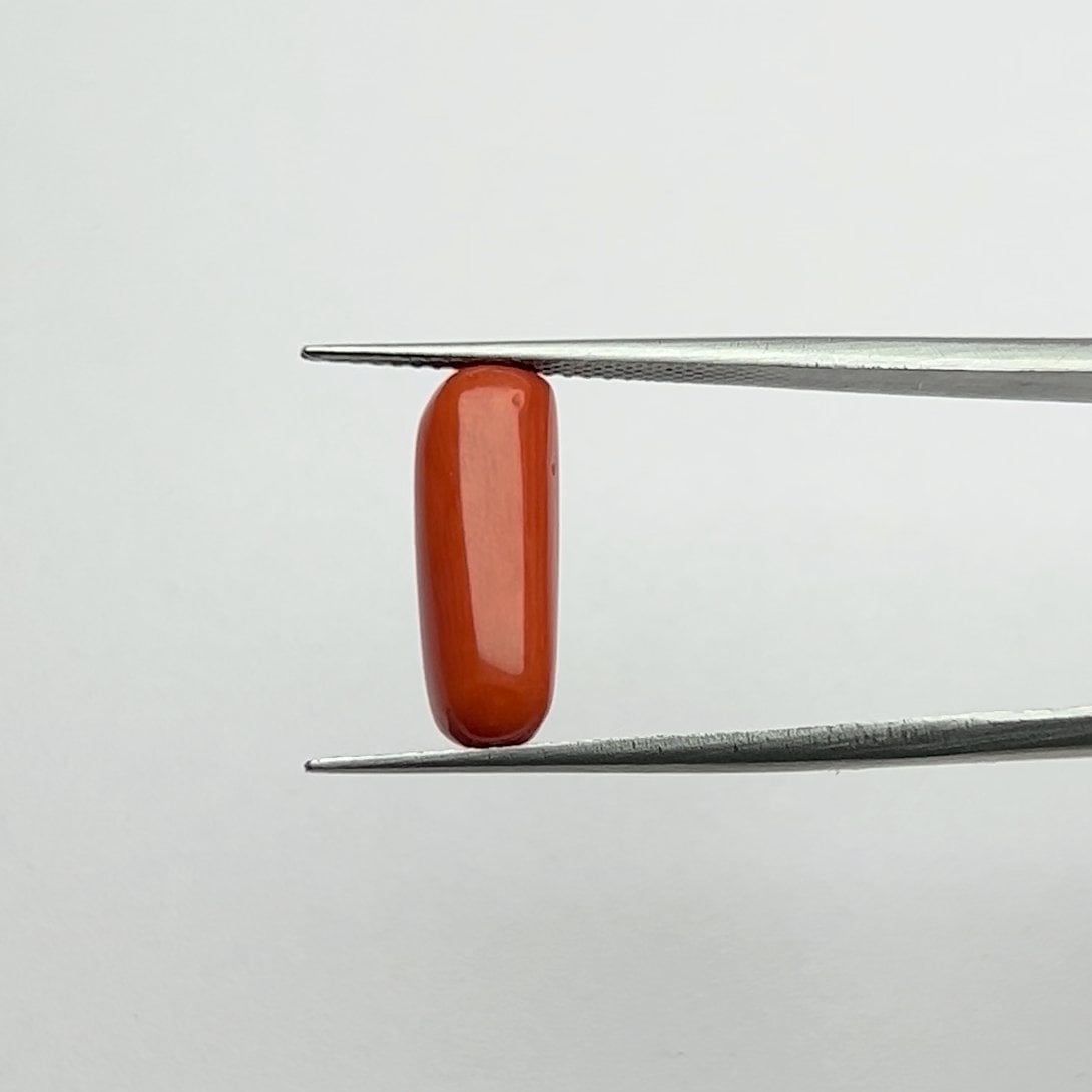 Red Coral | 5.25 Ratti