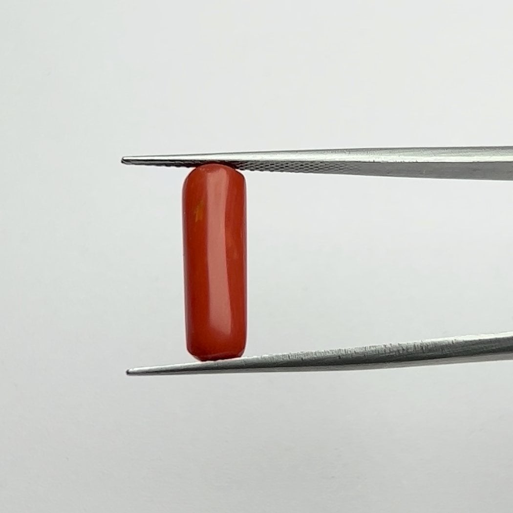 Red Coral | 5.00 Ratti