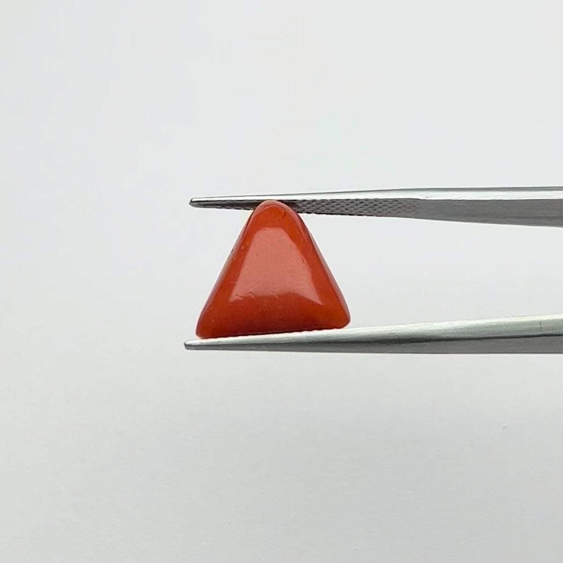 Red Coral | 8.25 Ratti