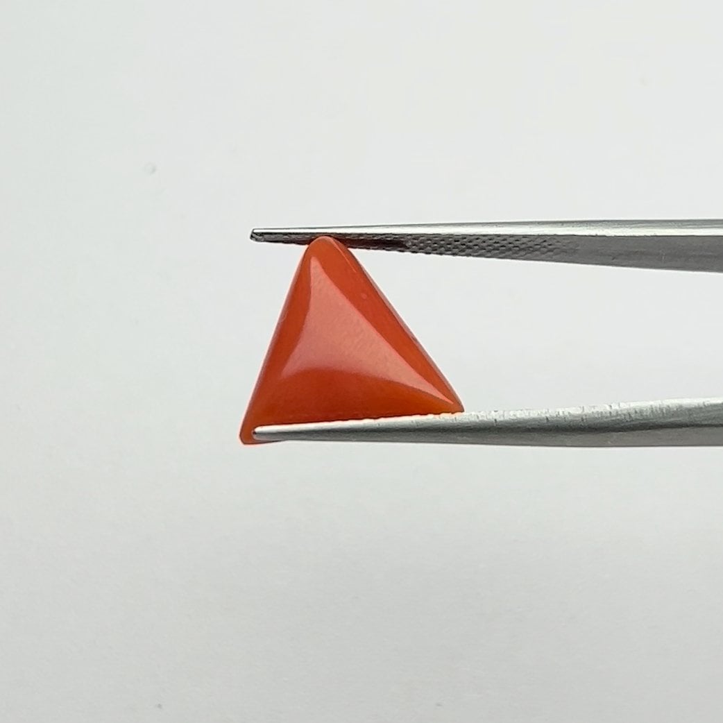 Red Coral | 6.50 Ratti