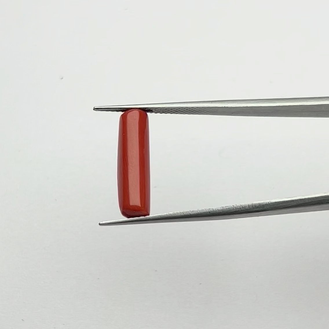 Red Coral | 5.50 Ratti