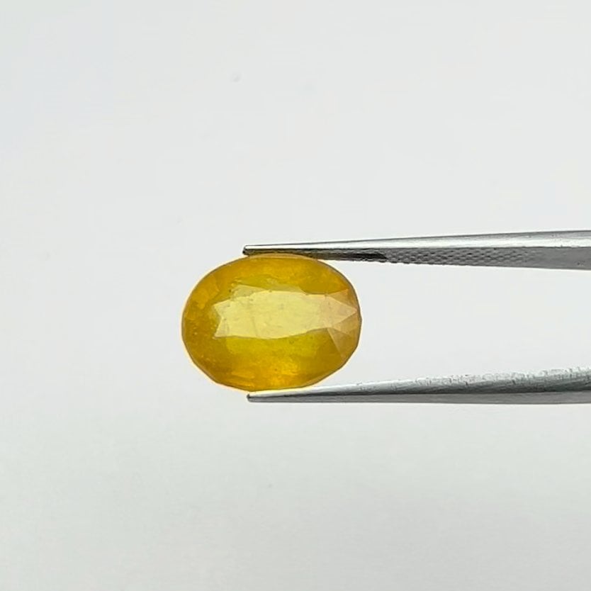 Yellow Sapphire | 8.00 Ratti