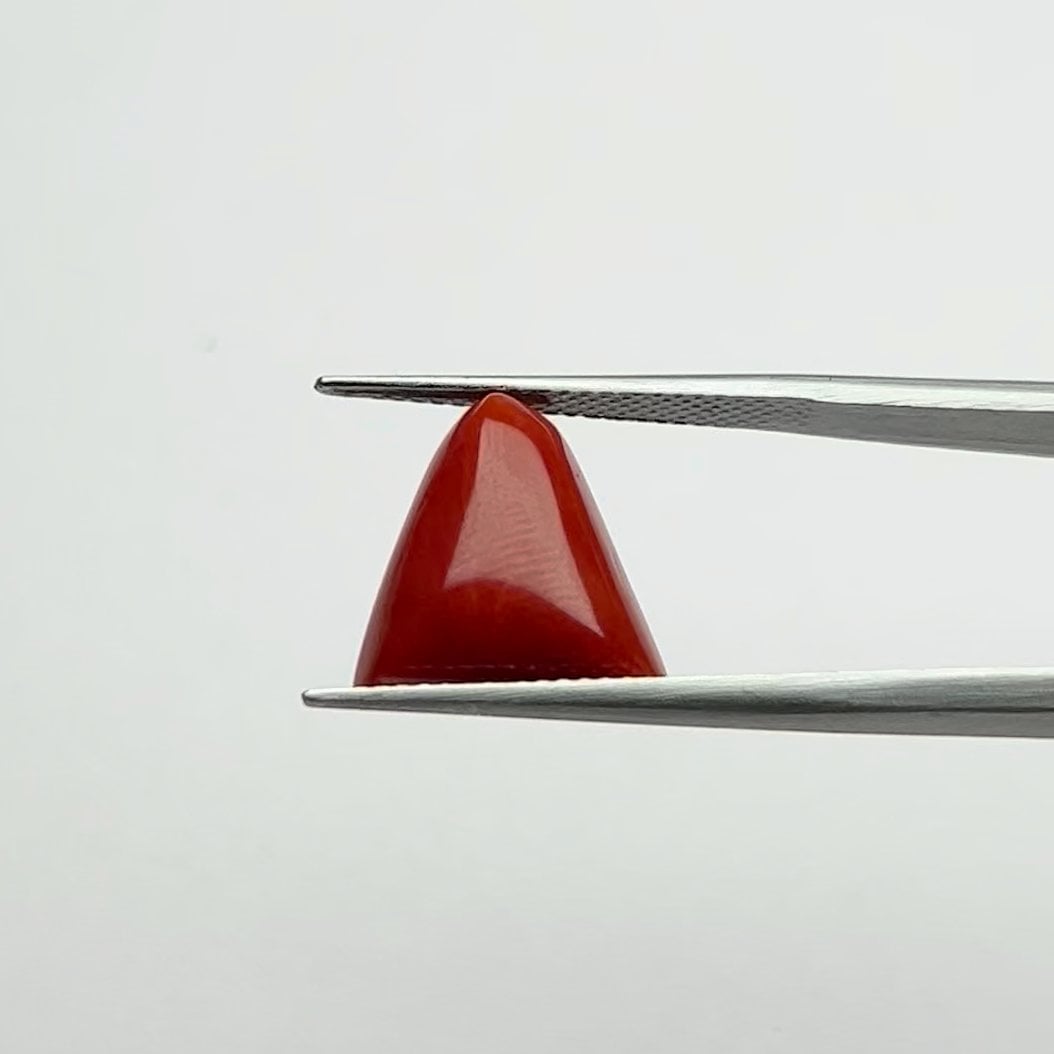 Red Coral | 6.50 Ratti