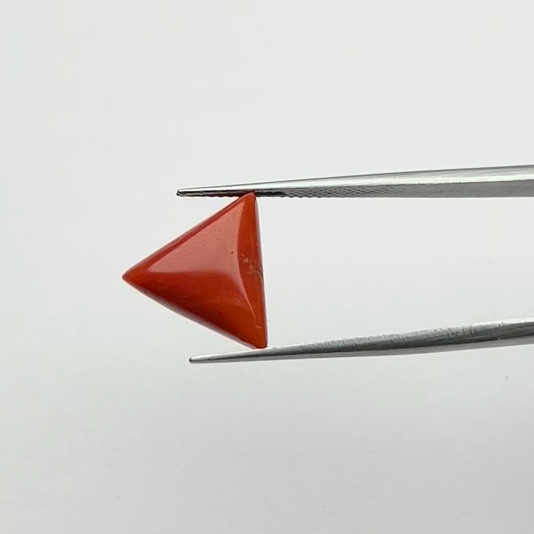Red Coral | 7.00 Ratti