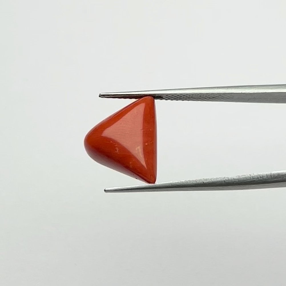 Red Coral | 7.50 Ratti