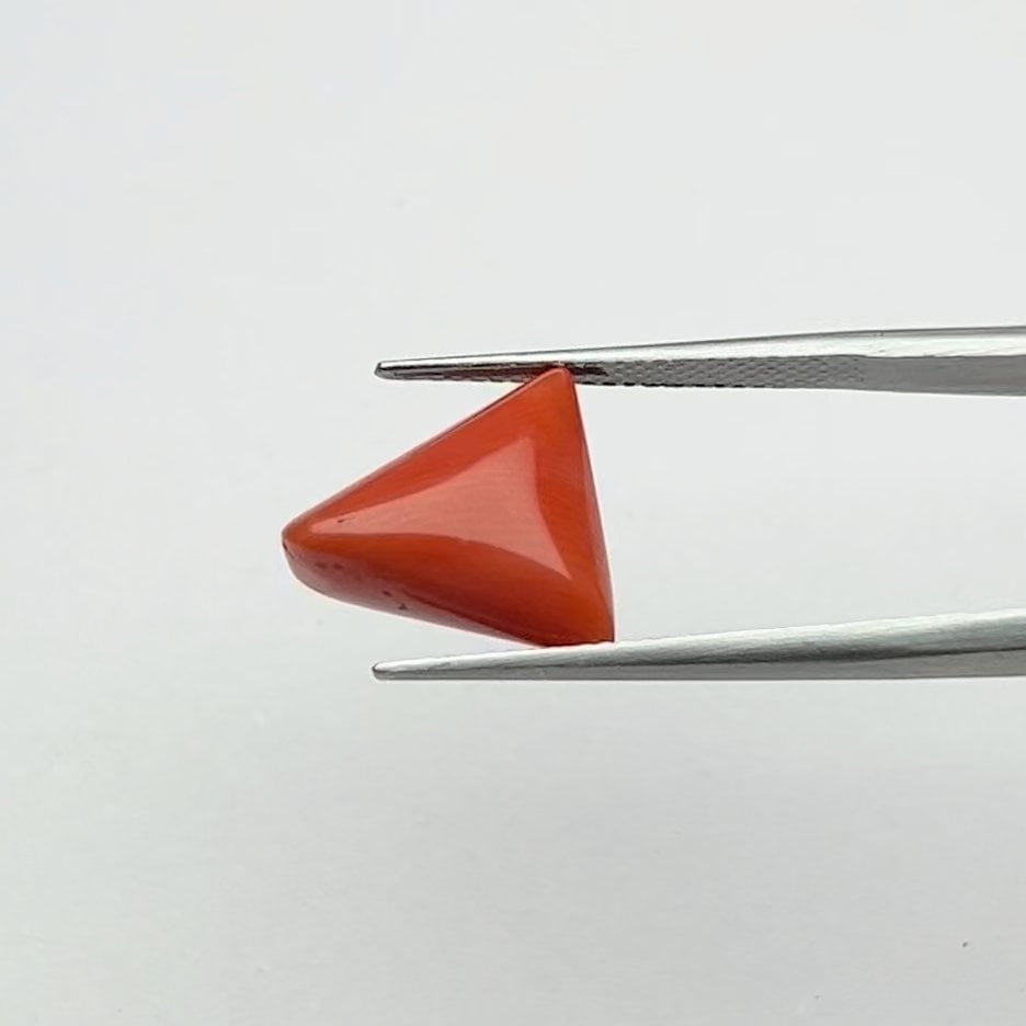 Red Coral | 7.50 Ratti