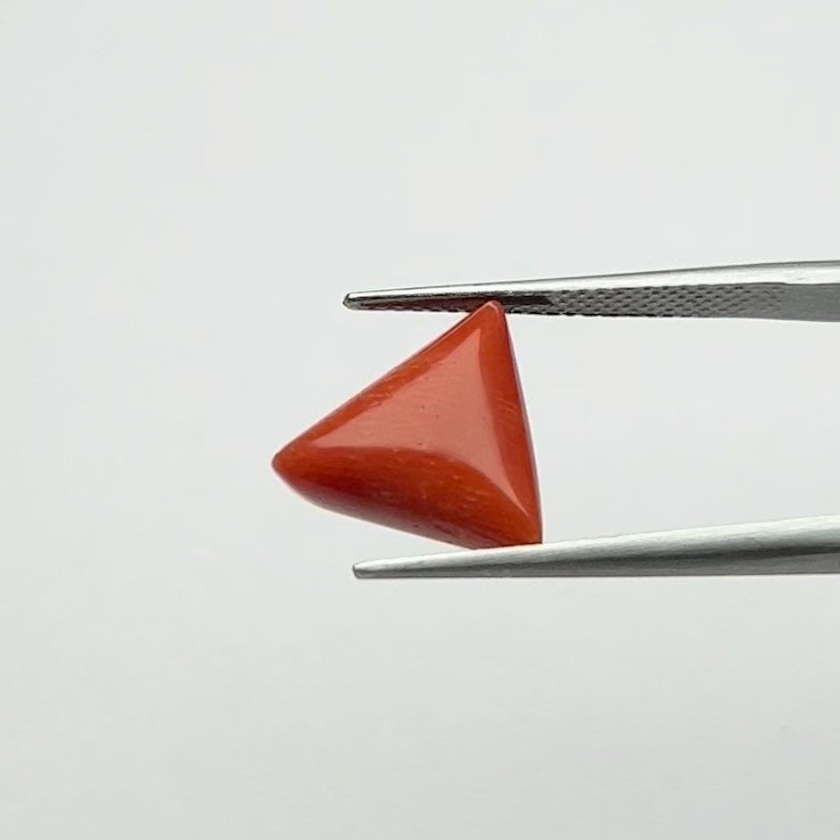 Red Coral | 6.50 Ratti