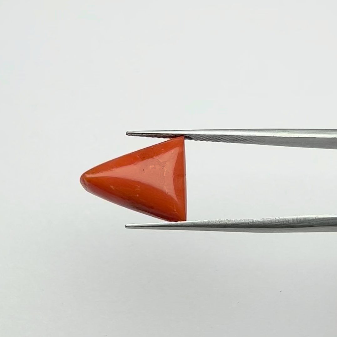 Red Coral | 7.50 Ratti