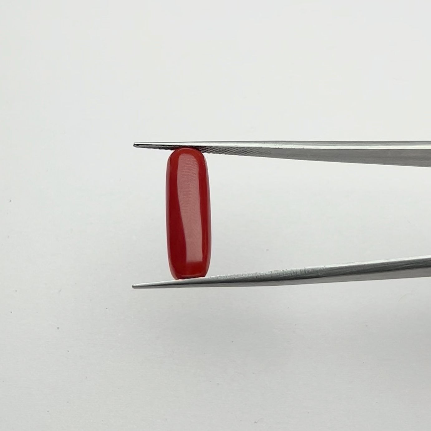 Red Coral | 6.25 Ratti